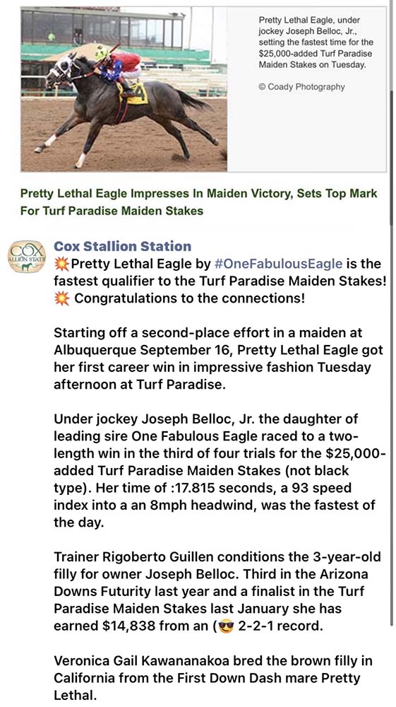 Pretty Lethal Eagle Blazinfire