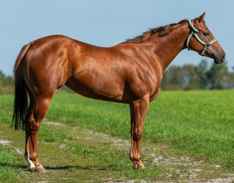 KEEP-THEM-IN-CORONA-Profile